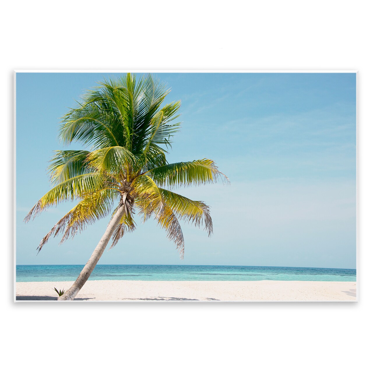 Stupell Industries Barrier Reef Island Palm Wall Plaque, design by Danita Delimont